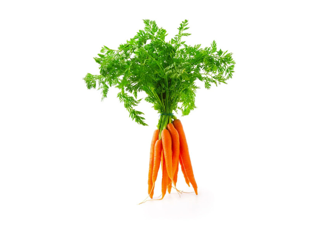 Dutch Carrot Bunch